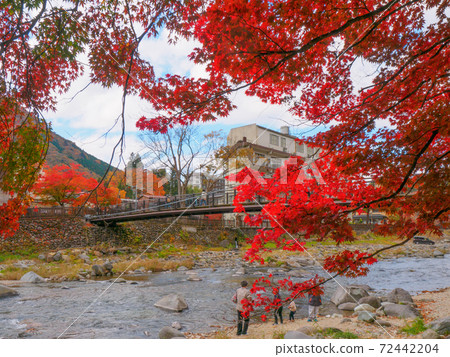 Suspension bridge in autumn colors (Red suspension bridge, Shiobara hot spring, Tochigi prefecture) 72442204