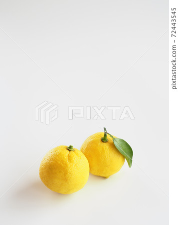 Yuzu white background 72443545