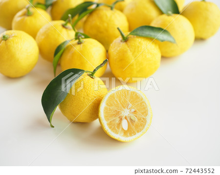 Yuzu white background Yuzu white background 72443552