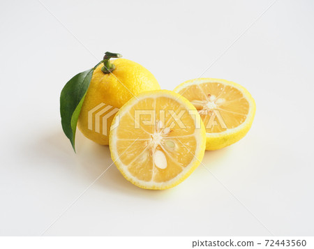 Yuzu white background 72443560