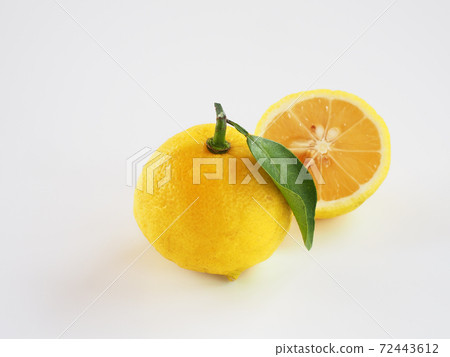 柚子白色背景 72443612