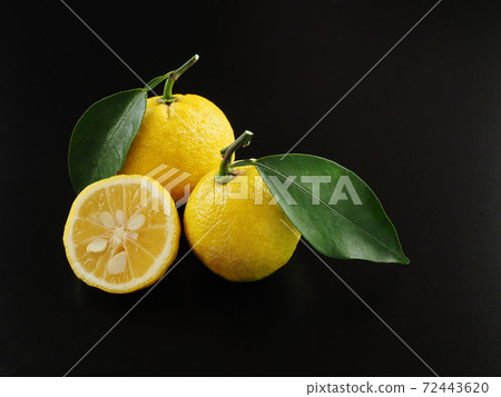 柚子黑色背景 柚子黑色背景 72443620