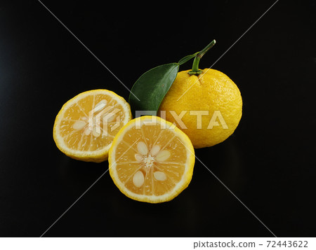 Yuzu black background Yuzu black background 72443622