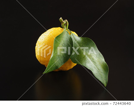 Yuzu black background Yuzu black background 72443640