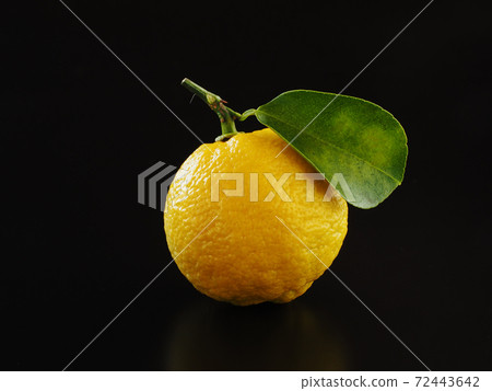Yuzu black background Yuzu black background 72443642
