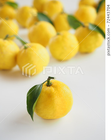 柚子白色背景 72443704