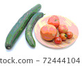 Vegetable Illustration 72444104