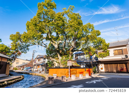 Kyoto Kamigamo Fujikisha 72445819