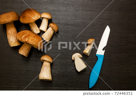 white forest mushroom 72446351