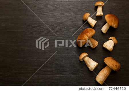 white forest mushroom 72446510