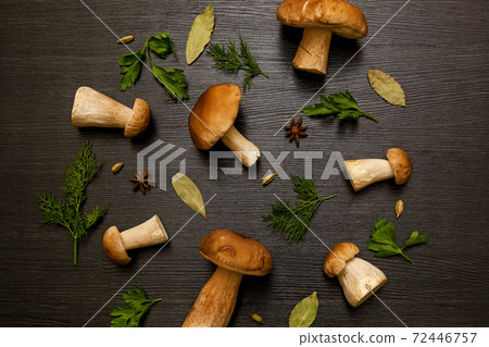 white forest mushroom white forest mushroom 72446757