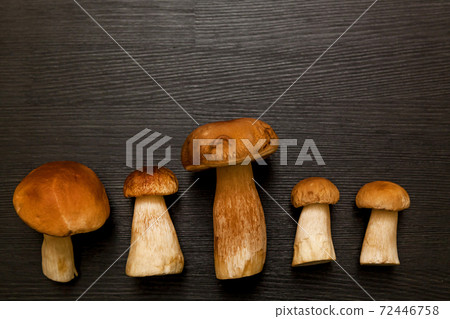 white forest mushroom white forest mushroom 72446758