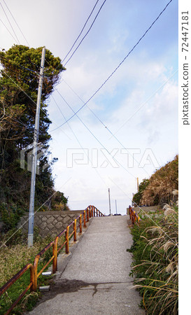 神奈川縣三浦市城鹿島的冬天 神奈川縣三浦市城鹿島的冬天 72447181