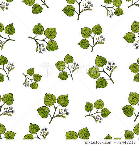 Seamless vector pattern with hand drawn tree... - Stock Illustration ...
