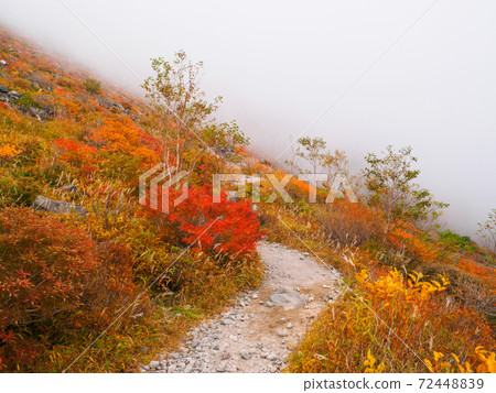 Mountain trail of autumn leaves covered with thick fog (Mt. Chausu, Nasu, Tochigi Prefecture) Mountain trail of autumn leaves covered with thick fog (Mt. Chausu, Nasu, Tochigi Prefecture) 72448839