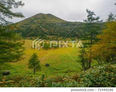 Autumn mountain moor (Hinuma, Okunikko, Tochigi Prefecture) Autumn mountain moor (Hinuma, Okunikko, Tochigi Prefecture) 72449286
