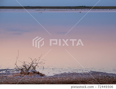 Sunset Genichesk pink  salty lake, Ukraine 72449306