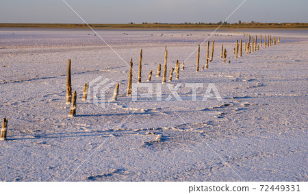 Sunset Genichesk pink  salty lake, Ukraine 72449331