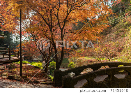 Kiyomizu Waterfall in Saga Prefecture, with beautiful autumn leaves Kiyomizu Waterfall in Saga Prefecture, with beautiful autumn leaves 72451948