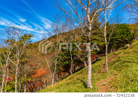 (Tochigi Prefecture) Autumn leaves seen from the Oku-Nikko Hangetsuyama mountain trail (Tochigi Prefecture) Autumn leaves seen from the Oku-Nikko Hangetsuyama mountain trail 72452136