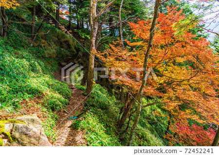 （To木縣）奧日光半月山步道，秋天的落葉與山脈 72452241