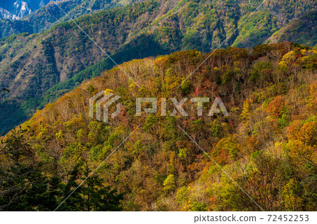 (To木縣)奧日光半月山步道,秋天的落葉與山脈 (To木縣)奧日光半月山步道,秋天的落葉與山脈 72452253