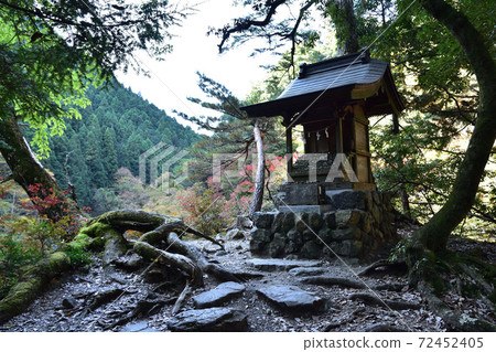 Hatonosu山谷/玉川水神社(Mizu Jingu) Hatonosu山谷/玉川水神社(Mizu Jingu) 72452405
