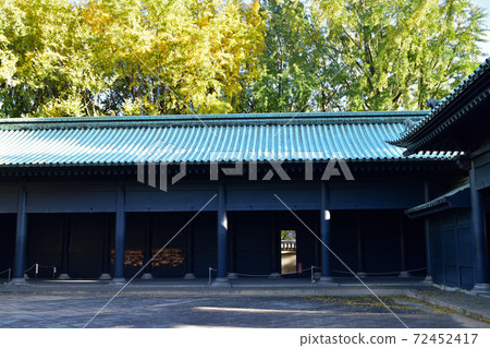 Yushima Seido Corridor and Ginkgo Yushima Seido Corridor and Ginkgo 72452417