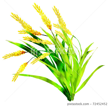 Rice_watercolor紋理 Rice_watercolor紋理 72452452
