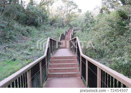 Koajiro no Mori walking path Koajiro no Mori walking path 72454507