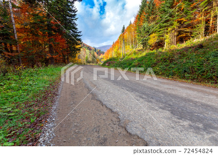 Carpathians. Autumn colorful forest. Carpathians. Autumn colorful forest. 72454824