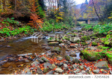 Carpathians. Skole. Mountain river. Carpathians. Skole. Mountain river. 72454826