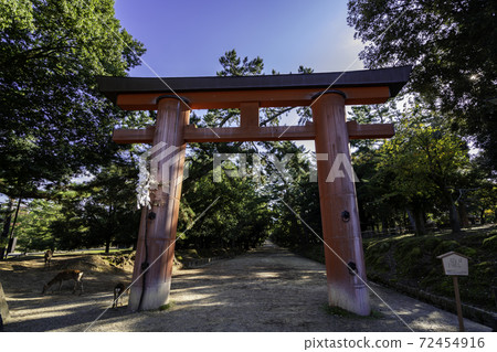 奈良縣奈良市春日大社一之鳥居 奈良縣奈良市春日大社一之鳥居 72454916