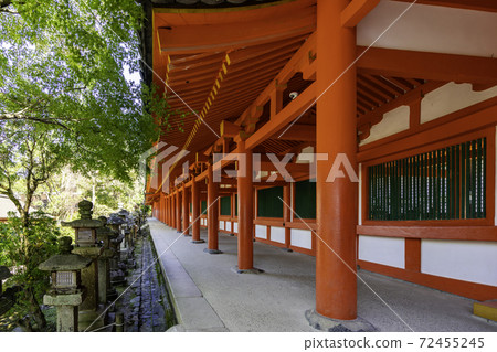 Kasuga Taisha Shrine, Nara City, Nara Prefecture 72455245