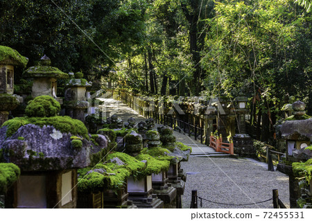 Kasuga Taisha Stone Lantern, Nara City, Nara Prefecture 72455531