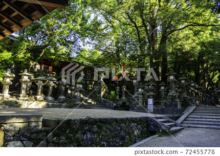 Kasuga Taisha Omiya Stone Lantern Nara City, Nara Prefecture Kasuga Taisha Omiya Stone Lantern Nara City, Nara Prefecture 72455778