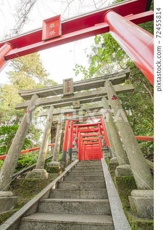 Nikko Toshogu in Ibaraki Nikko Toshogu in Ibaraki 72455814