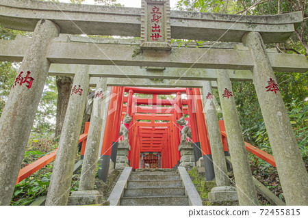 茨城縣日航東照宮 72455815