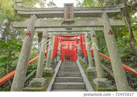 Nikko Toshogu in Ibaraki 72455817