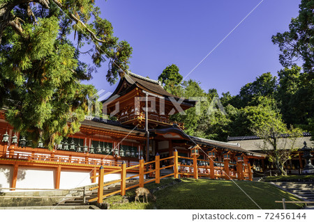 Kasuga Taisha Shrine Nakamon / Corridor Nara City, Nara Prefecture 72456144