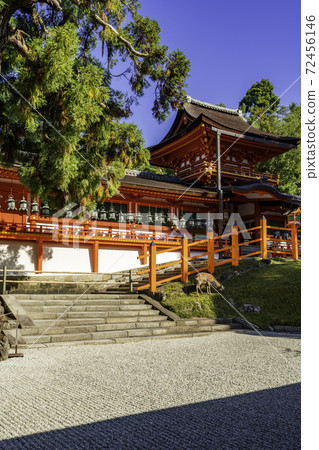 Kasuga Taisha Shrine Nakamon / Corridor Nara City, Nara Prefecture 72456146