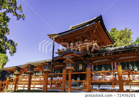 春日大社Chumon /奈良縣奈良市走廊 72456201