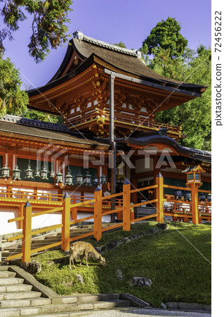 Kasuga Taisha Shrine Nakamon / Corridor Nara City, Nara Prefecture Kasuga Taisha Shrine Nakamon / Corridor Nara City, Nara Prefecture 72456222