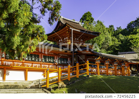 Kasuga Taisha Shrine Nakamon / Corridor Nara City, Nara Prefecture 72456225