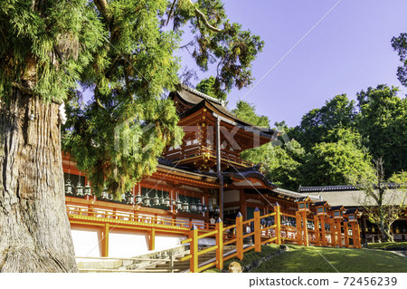 春日大社Chumon /奈良縣奈良市走廊 72456239