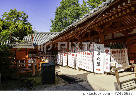 Kasuga Taisha Fujinaminoya, Nara City, Nara Prefecture Kasuga Taisha Fujinaminoya, Nara City, Nara Prefecture 72456682