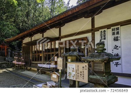 奈良縣奈良市Daikokusha夫婦春日大社 72456849