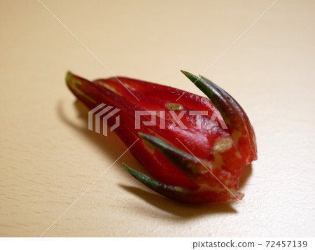 Rosell's Gaku（芙蓉茶的原料） 72457139