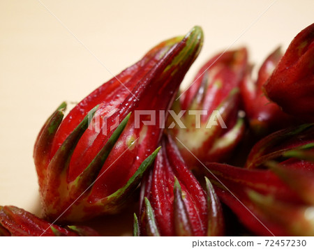 Roselle calyx (raw material for hibiscus tea) Roselle calyx (raw material for hibiscus tea) 72457230