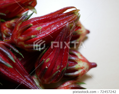 Rosell's Gaku(芙蓉茶的原料) Rosell's Gaku(芙蓉茶的原料) 72457242